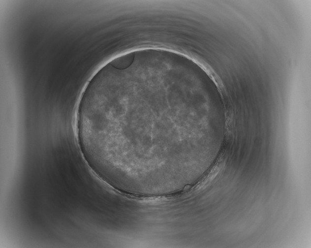 X0000100921535200807221105