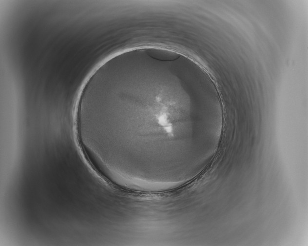 X0000100921536200807221105