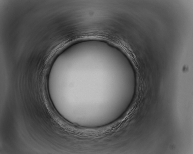 X0000100930001200806241149