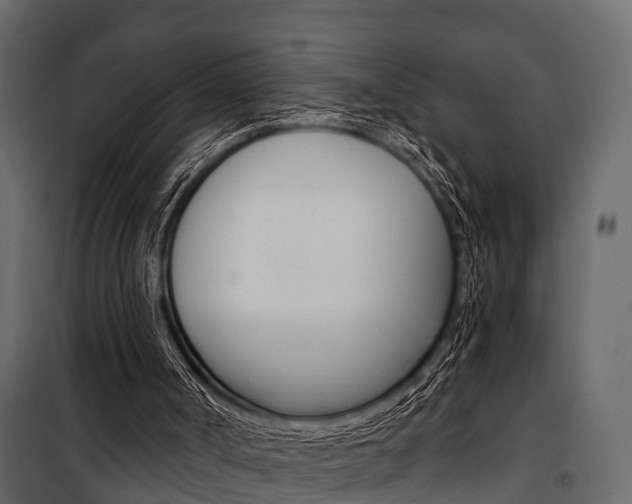 X0000100930002200806241149