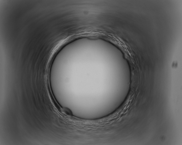 X0000100930003200806241149