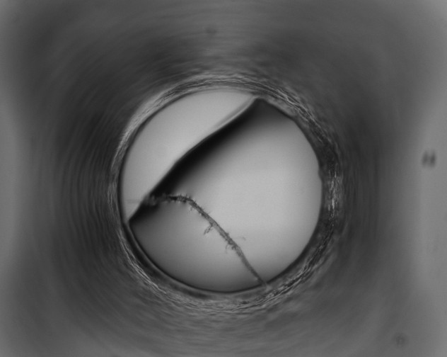 X0000100930004200806241149