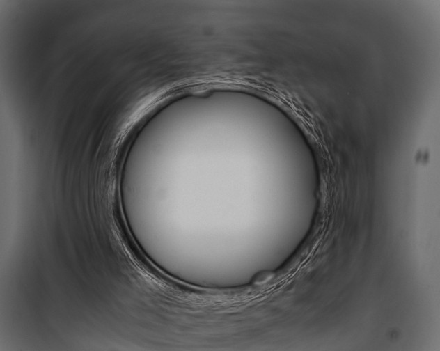 X0000100930005200806241149