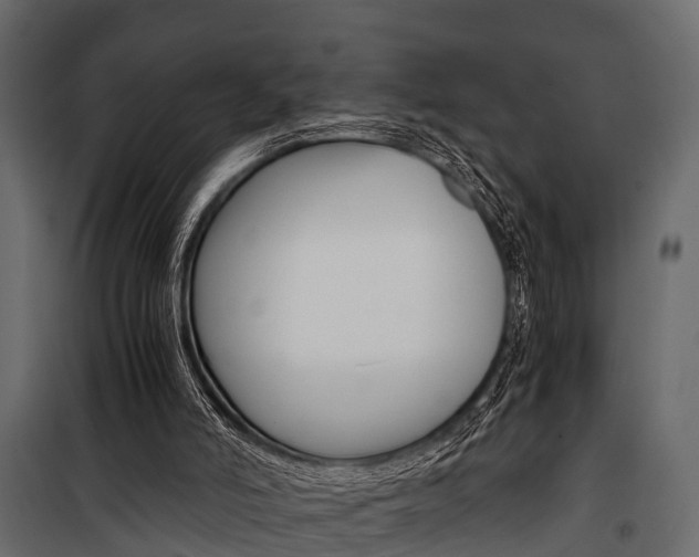 X0000100930006200806241149