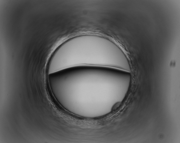 X0000100930008200806241149