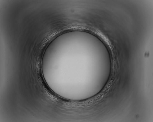 X0000100930009200806241149