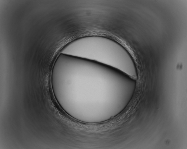 X0000100930010200806241149