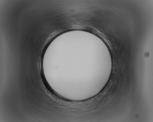 X0000100930011200806241149