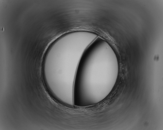 X0000100930012200806241149