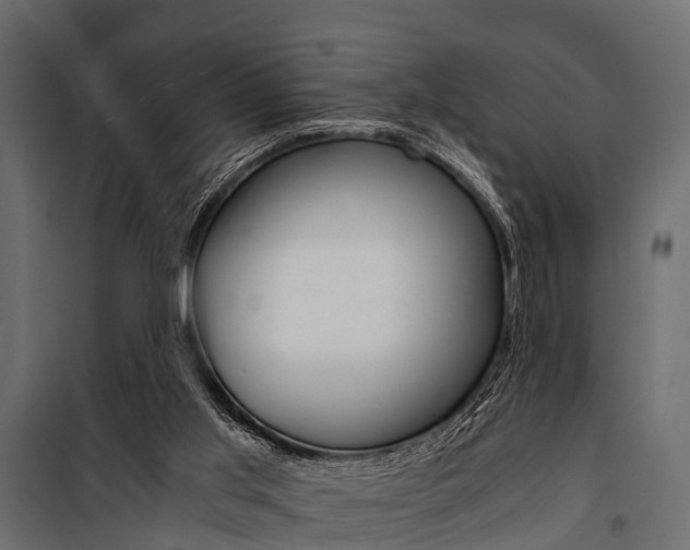 X0000100930013200806241149