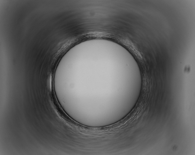 X0000100930014200806241149