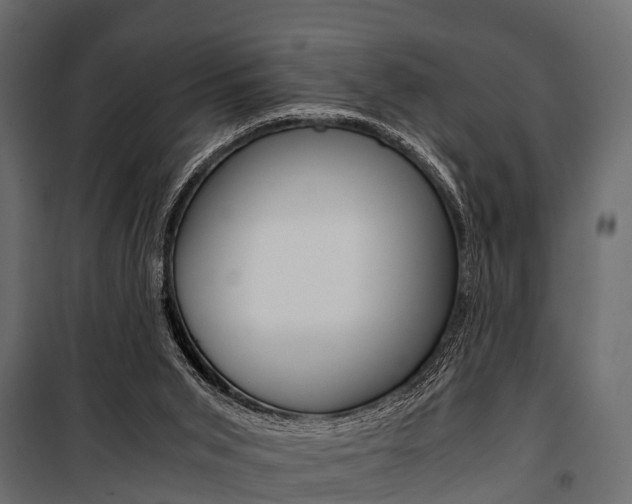 X0000100930015200806241149