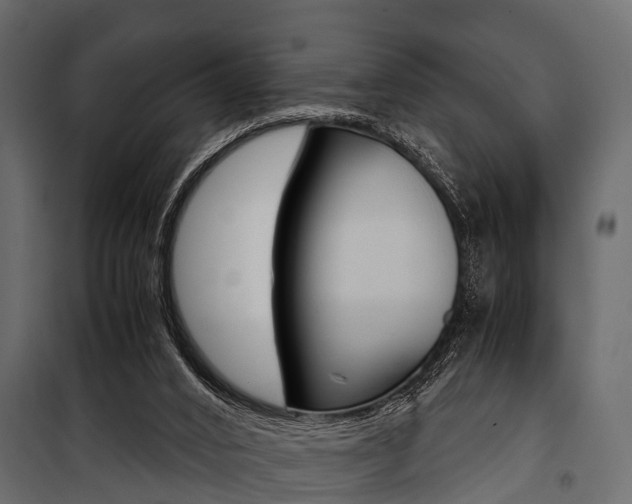 X0000100930016200806241149