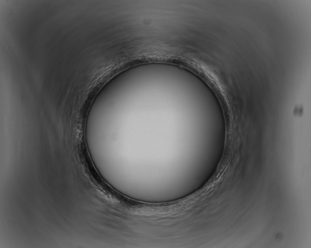 X0000100930017200806241149