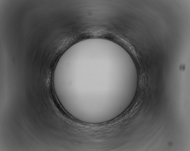 X0000100930018200806241149