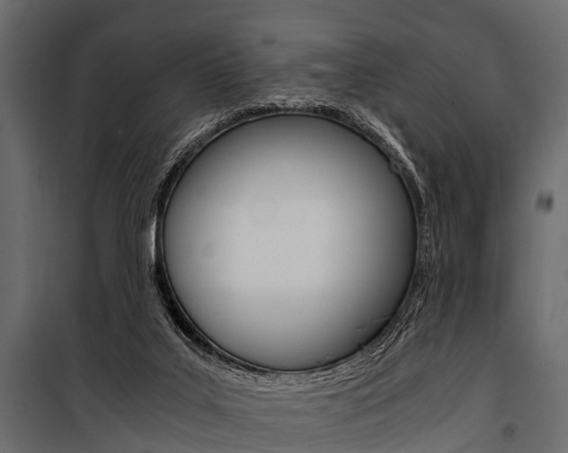 X0000100930019200806241149