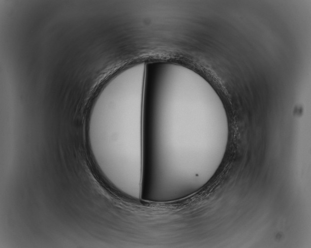 X0000100930020200806241149