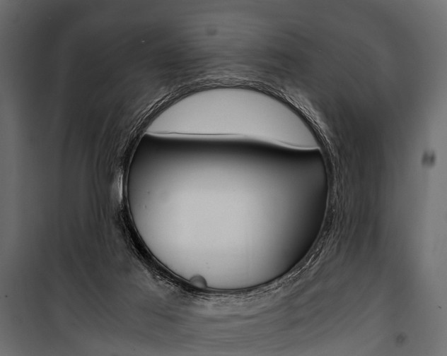 X0000100930021200806241149