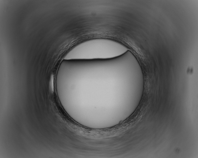 X0000100930022200806241149