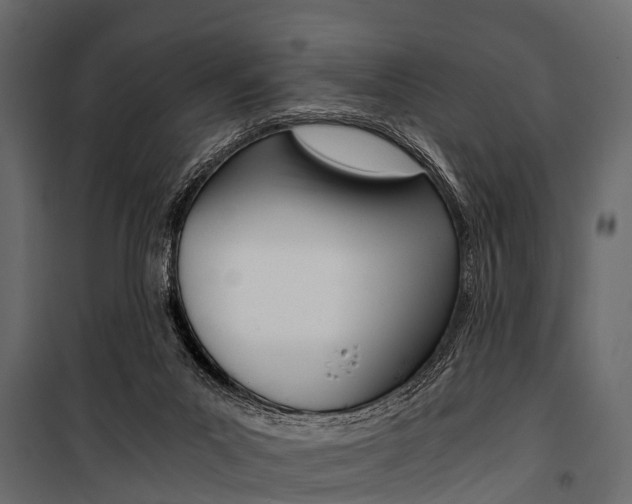 X0000100930023200806241149