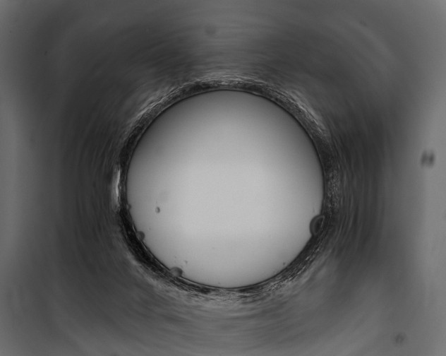 X0000100930024200806241149