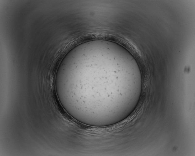 X0000100930025200806241149