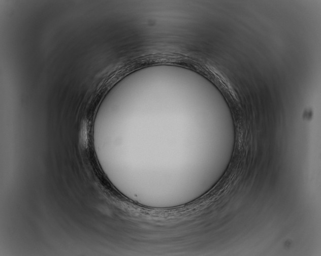 X0000100930026200806241149