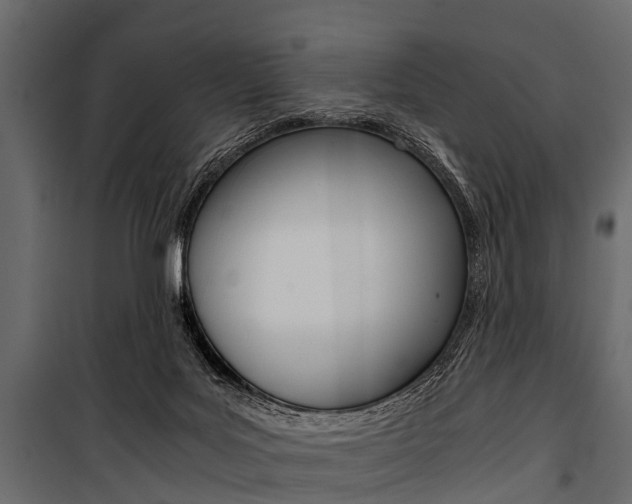 X0000100930027200806241149