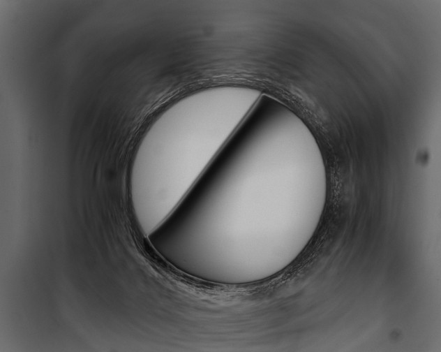 X0000100930028200806241149