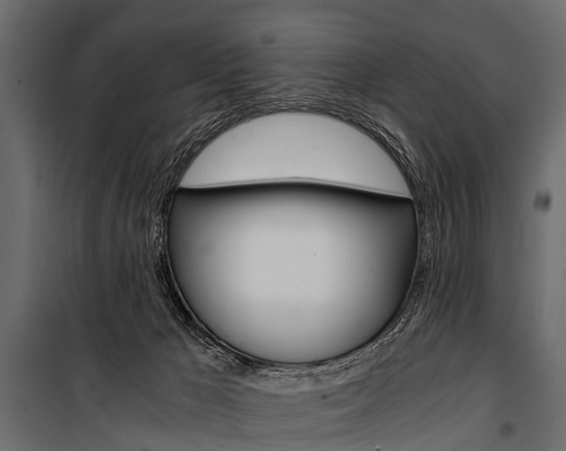 X0000100930029200806241149