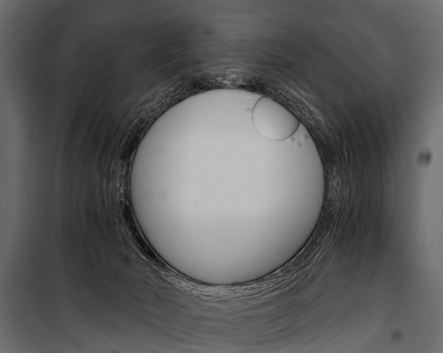 X0000100930030200806241149