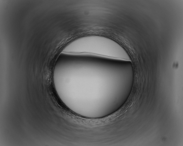 X0000100930031200806241149