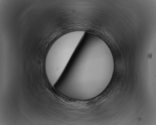 X0000100930032200806241149