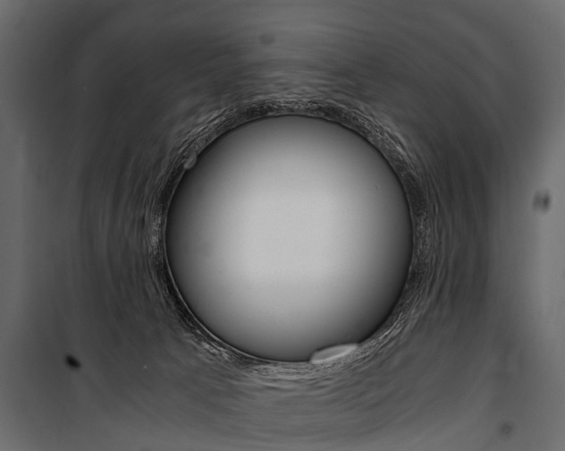 X0000100930033200806241149