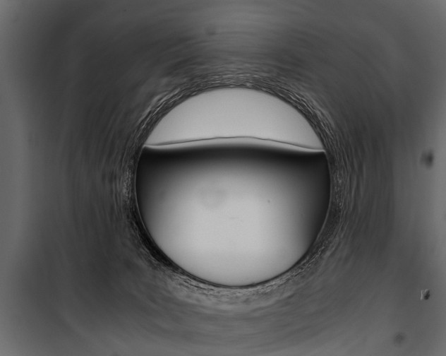 X0000100930035200806241149