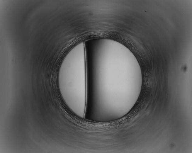 X0000100930036200806241149