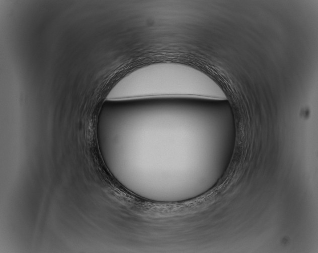 X0000100930037200806241149