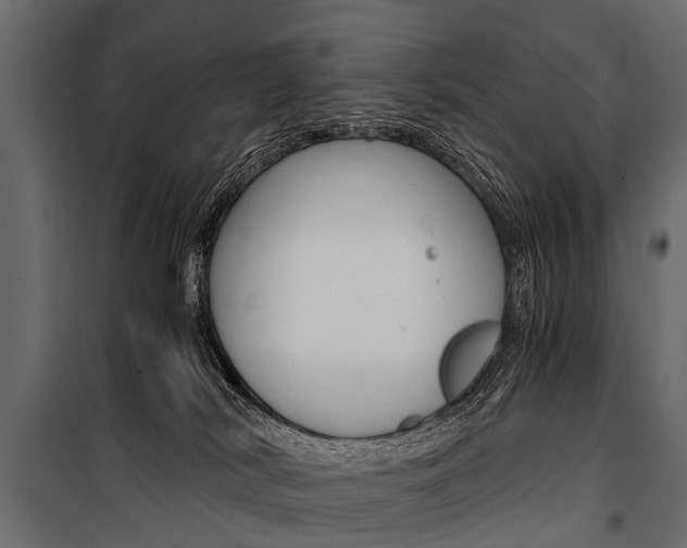 X0000100930038200806241149