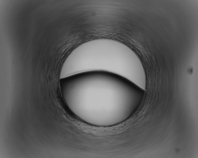 X0000100930039200806241149