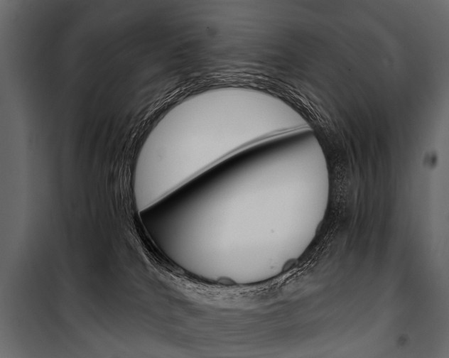 X0000100930040200806241149