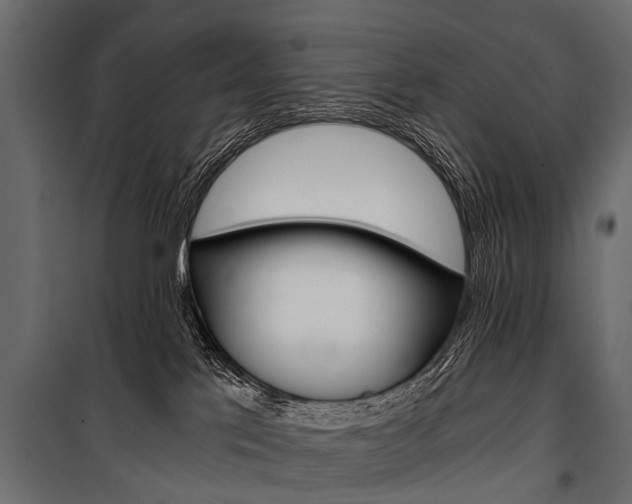 X0000100930041200806241149