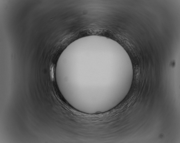 X0000100930042200806241149