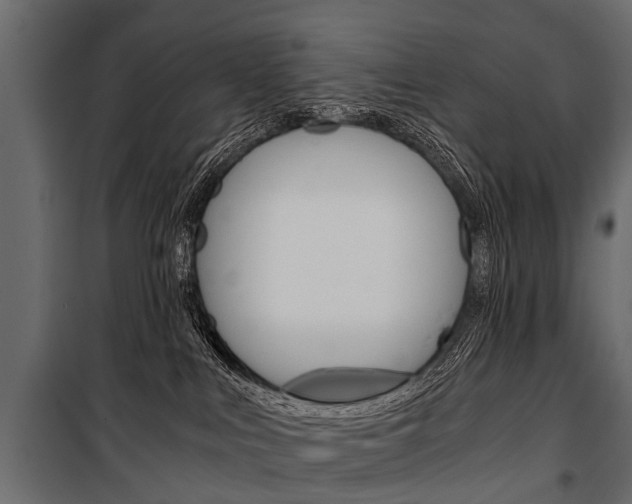 X0000100930043200806241149