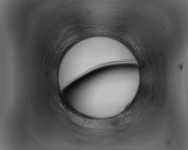 X0000100930044200806241149