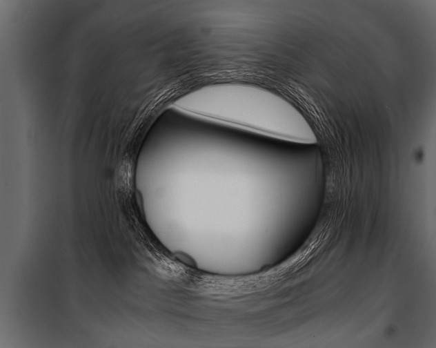 X0000100930045200806241149