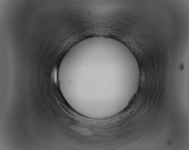 X0000100930046200806241149