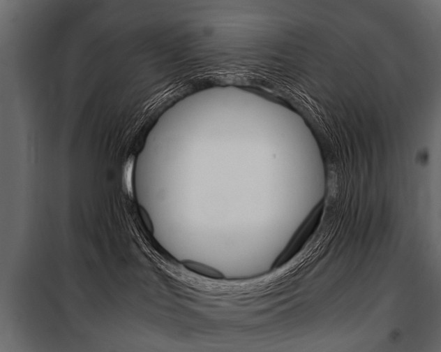 X0000100930047200806241149