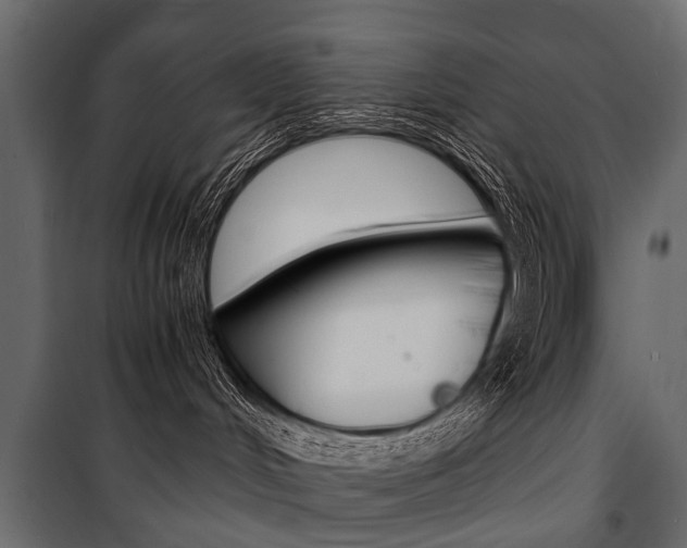 X0000100930048200806241149