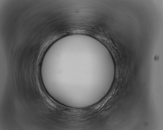 X0000100930049200806241148