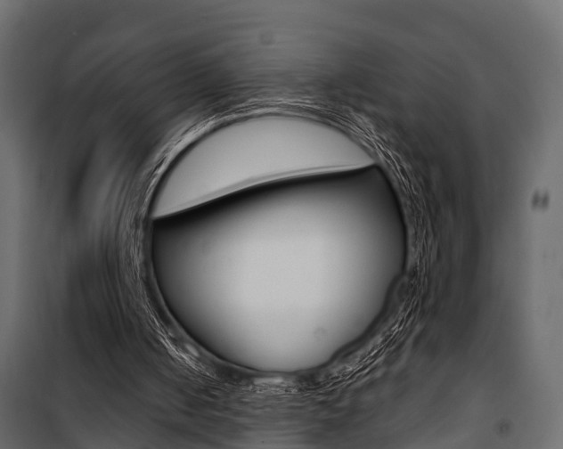 X0000100930050200806241148